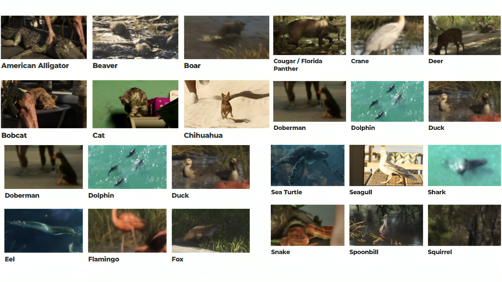 GTA 6 Animals Revealed